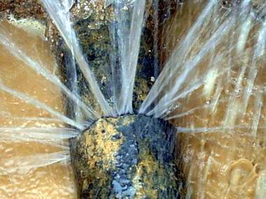 �ܾW(w��ng)©ˮ���ܕ�������ЩӰ���