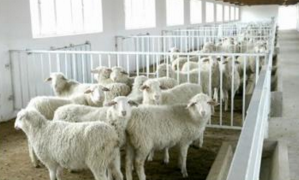 �F(xi��n)���B(y��ng)ֳ�������x����ι�ˮ�O(sh��)�䣿